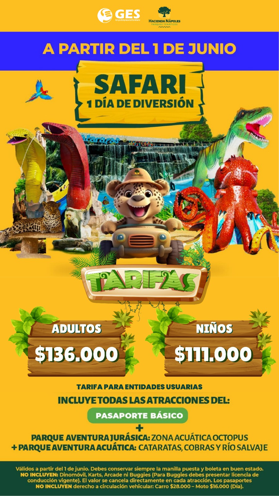 WhatsApp Image 2025-12-01 at 11.14.41 AM (1)_1